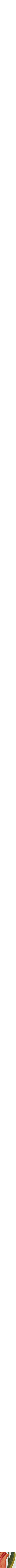 Assorti