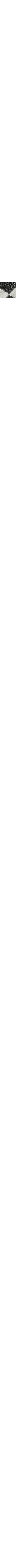 Blanc et noir