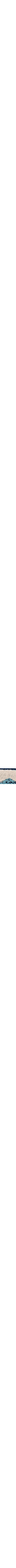 Bleu à motifs