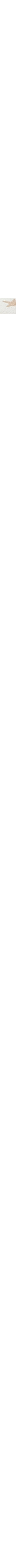 Blanc à motifs