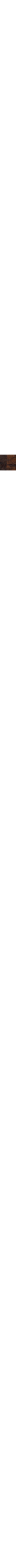 Brun à motifs