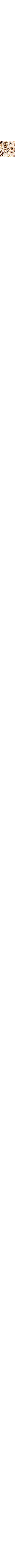 Noir à motifs