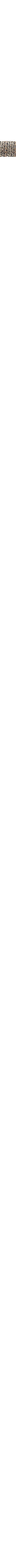 Noir à motifs