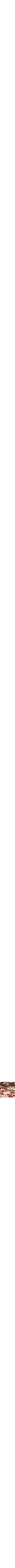 Rouge à motifs