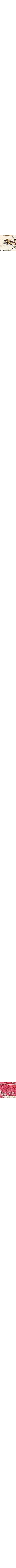 Patterned Ecru