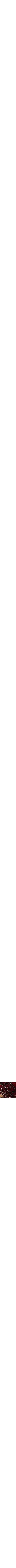 Rouge à motifs