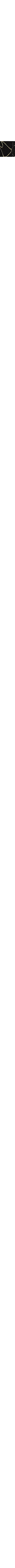 Noir à motifs