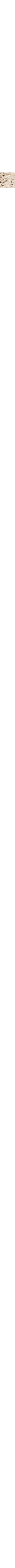 Blanc cassé