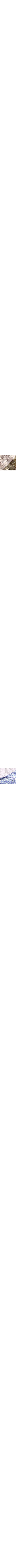 Patterned Blue