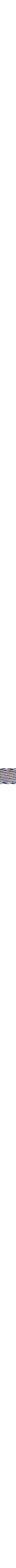 Patterned Blue