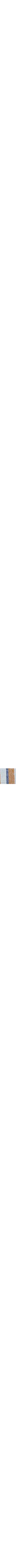 Bleu à motifs