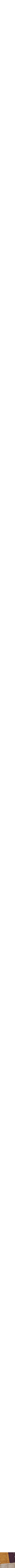 Assorti