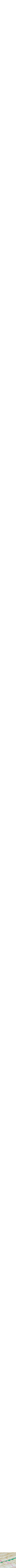 Assorti
