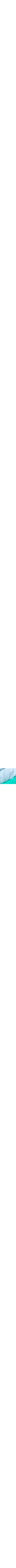 Bleu à motifs