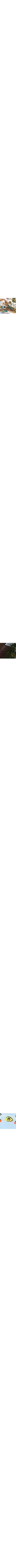 Blanc à motifs