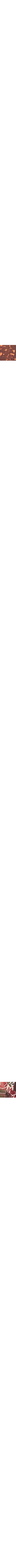 Brun à motifs