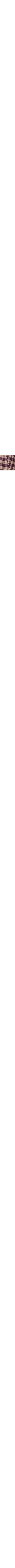 Brun à motifs