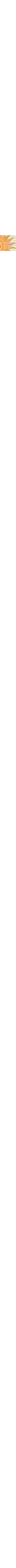 Écru à motifs