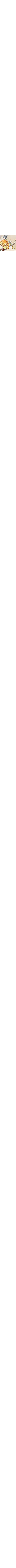 Écru à motifs