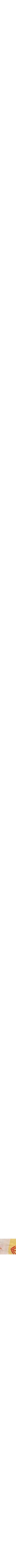 Jaune à motifs
