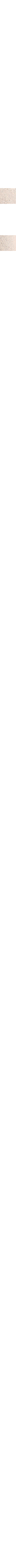 Patterned Ecru