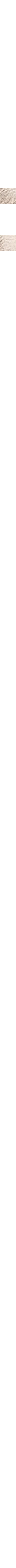 Patterned Ecru