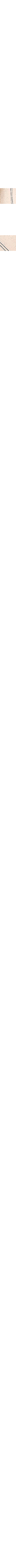 Patterned Ecru