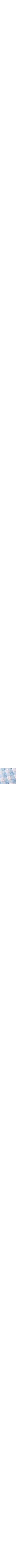 Patterned Blue