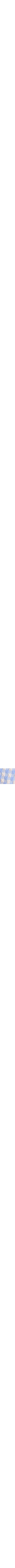 Patterned Blue