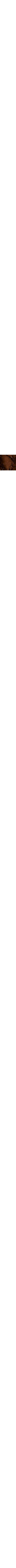 Brun à motifs