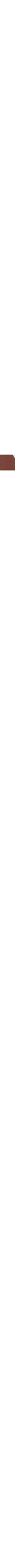 Brun à motifs