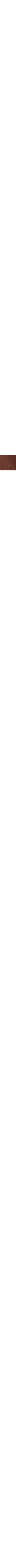 Brun à motifs