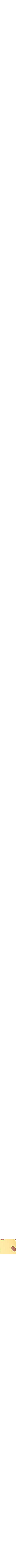 Jaune à motifs