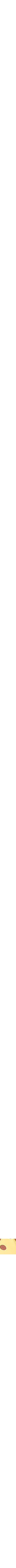 Jaune à motifs