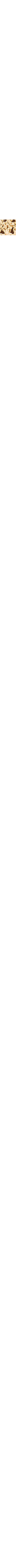 Ecru/Linen