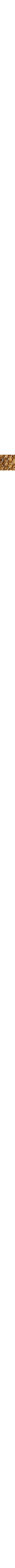 Brun à motifs