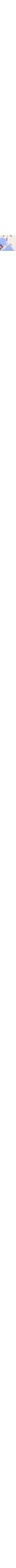 Écru à motifs