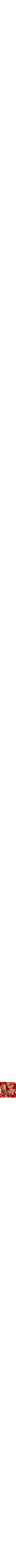 Rouge à motifs