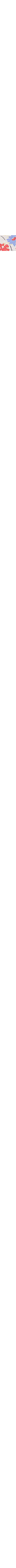 Écru à motifs