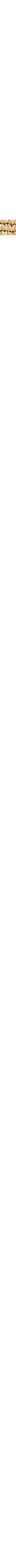 Ecru/Linen