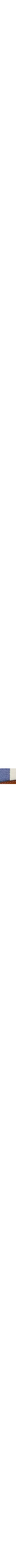 Patterned Blue