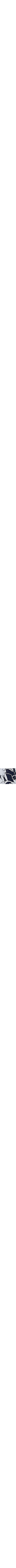 Bleu à motifs