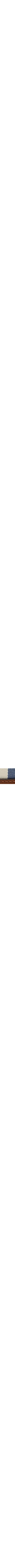 Patterned Blue