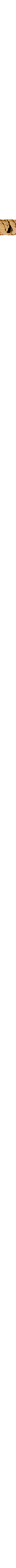 Ecru/Linen