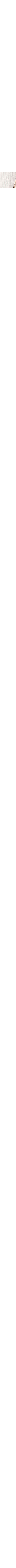 Blanc cassé
