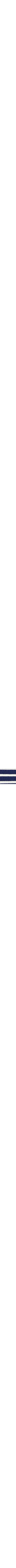 Bleu à motifs
