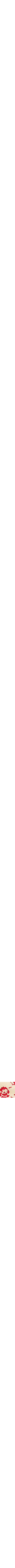 Rouge à motifs