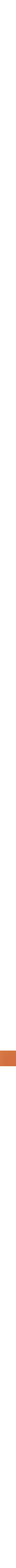 Rose pêche