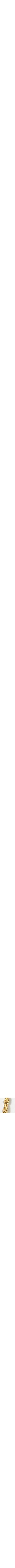 Jaune doré