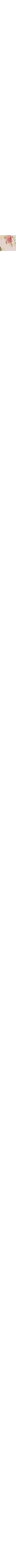 Écru à motifs